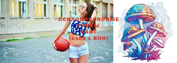 тгк Елизово