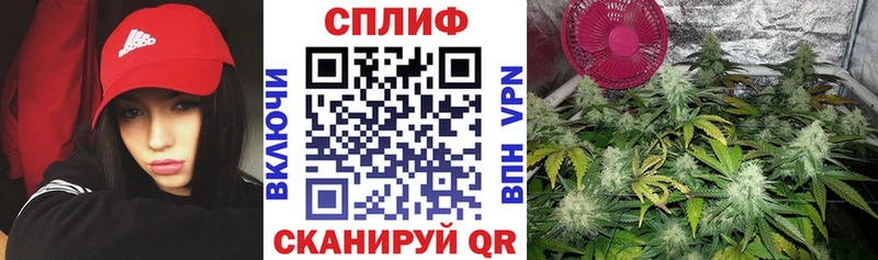 Бошки марихуана индика  Шлиссельбург 